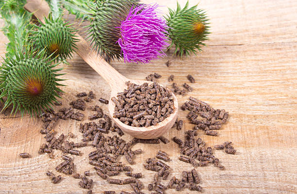 istock Granular and fresh thistle with flowers. (Silybum marianum) 637062542