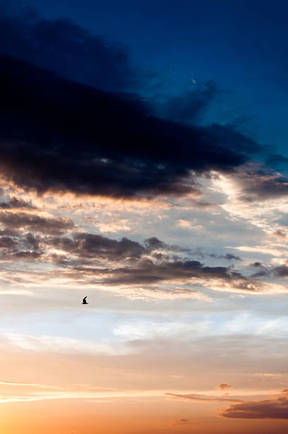 istock The freedom of flying solo through a dramatic sunset 637064890