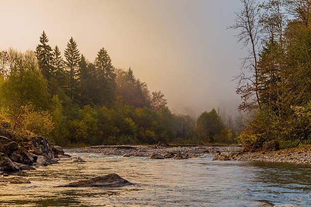istock Misty river in the alps 637065210