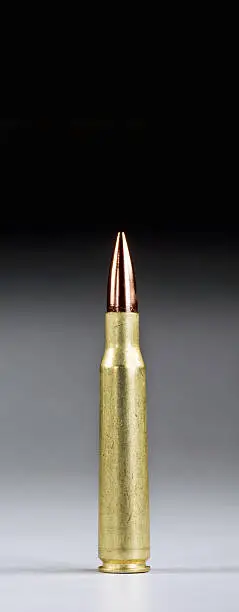 Photo of Fifty Caliber Bullet.