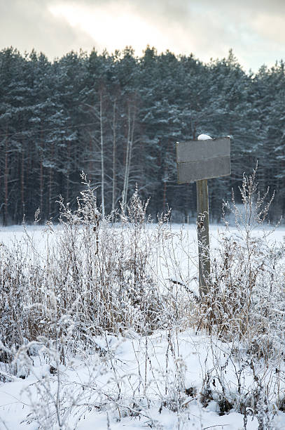 istock For sale sign in the field 637066192