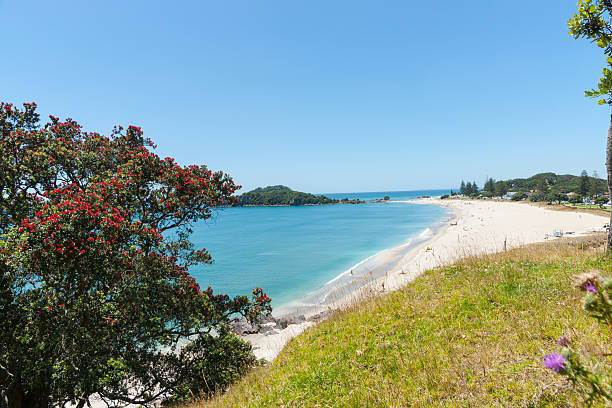 view over the ocean from coastal path