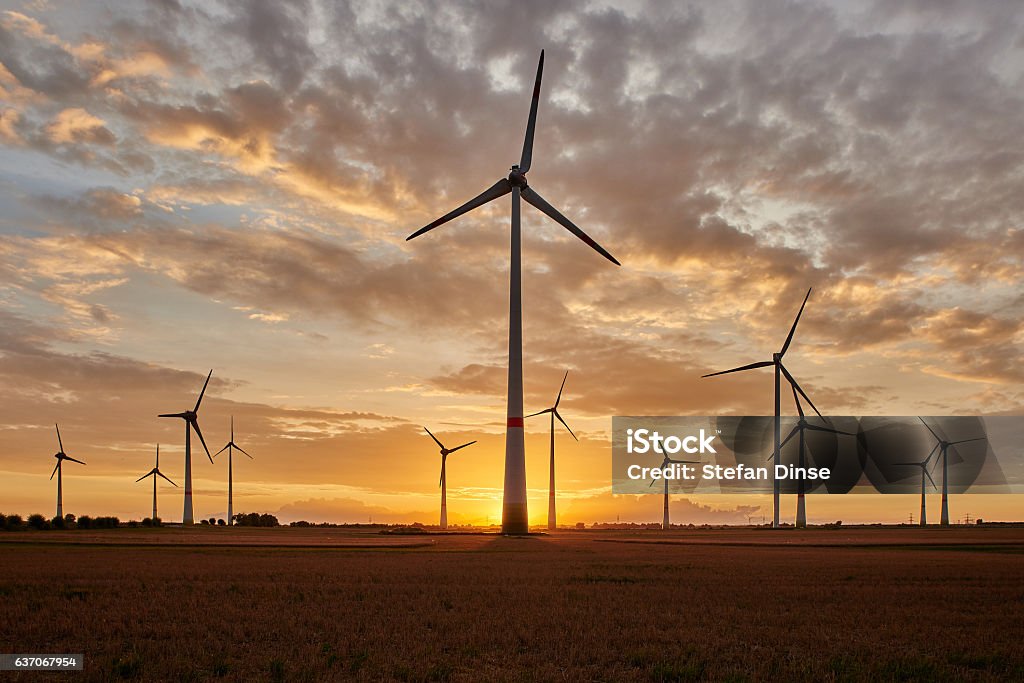 wind farm in sunset Electricity Stock Photo