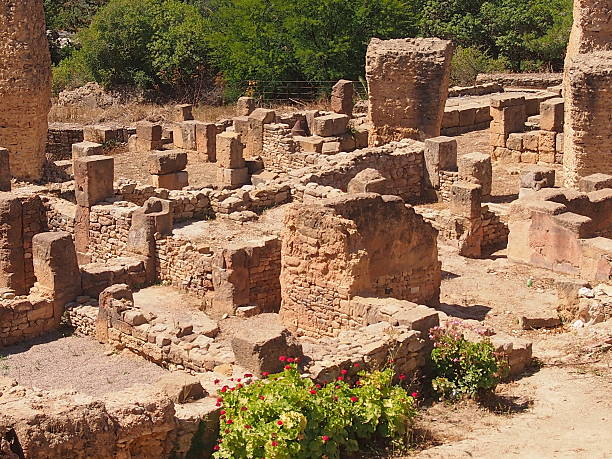 istock Ruins of ancient Carthage 637071206