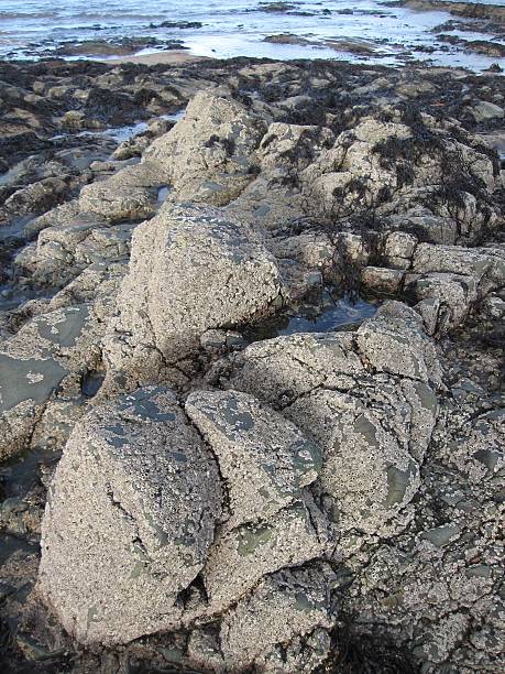 istock Beach in Fife, Scotland 637083054