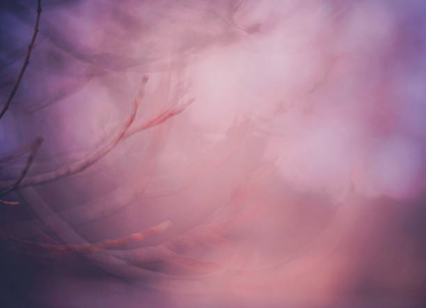 Abstract nature background in tones of pink