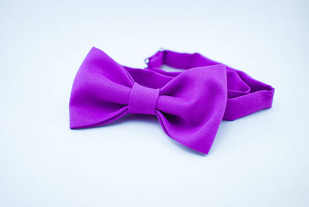 istock Trendy fashionable violet bow tie; isolated 637083090