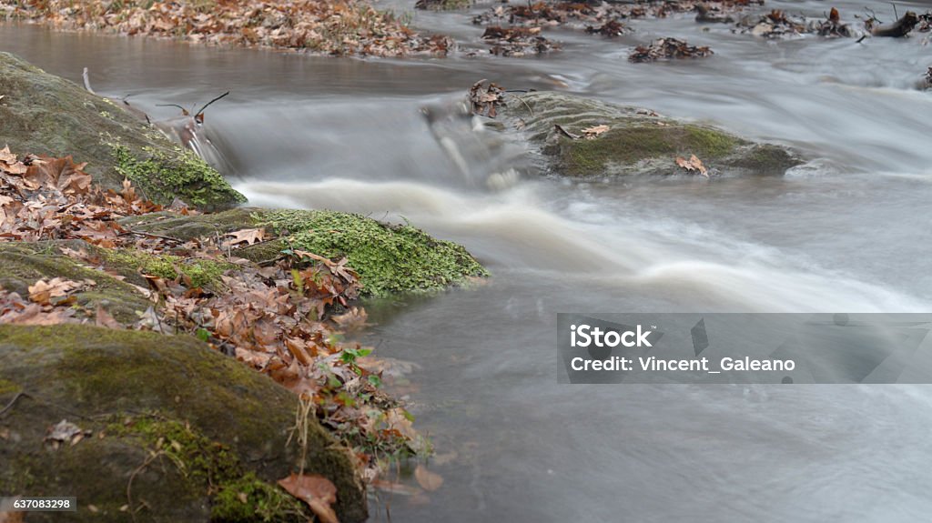 Stream Runner Flowing Stream Captured in long exposure Beauty Stock Photo