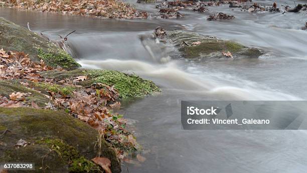 Stream Runner Stock Photo - Download Image Now - Beauty, Beauty In Nature, Cultures