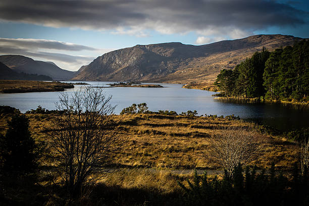 istock Mountains, lake, pine trees and bog in Ireland 637084324