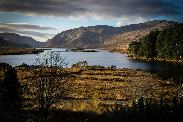 Mountains, lake, pine trees and bog in Ireland stock photo