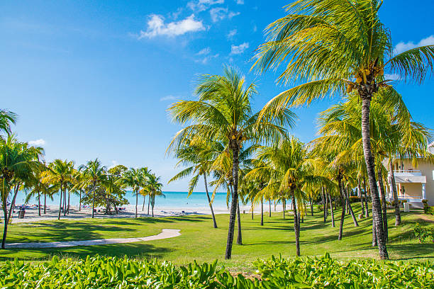 A view of the beautiful beaches found just outside of Matanzas, Cuba. Matanzas is the capital of the Cuban Province Matanzas and is located on the Northern Shore of Cuba (east of Havana and west of Varadero).