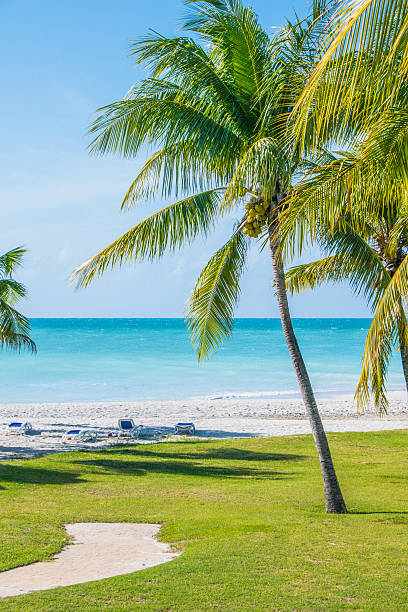 istock Path to the Beautiful Beaches of Cuba 637084406