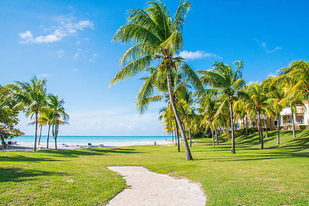 percorso per le bellissime spiagge di cuba - varadero beach foto e immagini stock