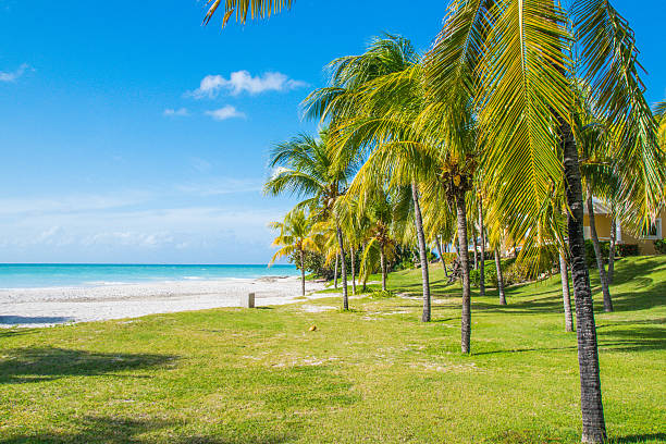 istock Beautiful Beaches of Cuba 637084470