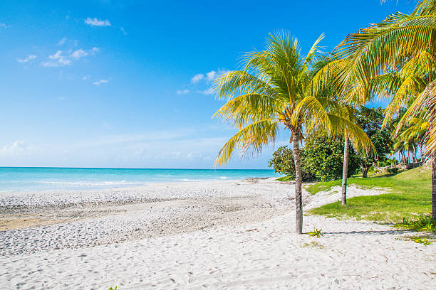 hermosas playas de cuba - varadero beach fotografías e imágenes de stock