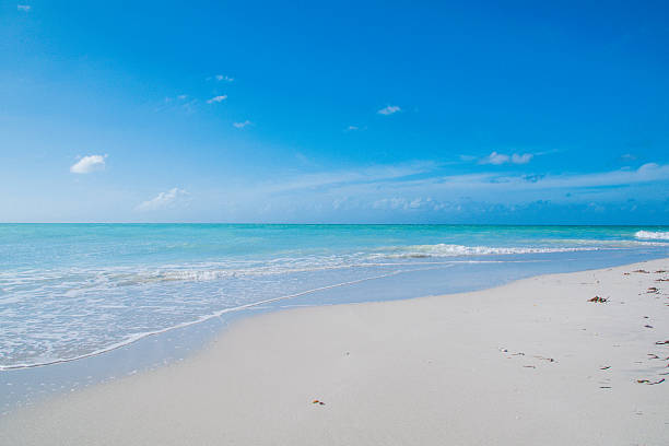 istock Beautiful Beaches of Cuba 637084892