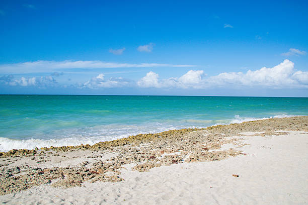 istock Beautiful Beaches of Cuba 637085112