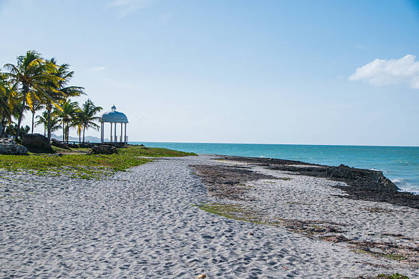 istock Beautiful Beaches of Cuba 637085372