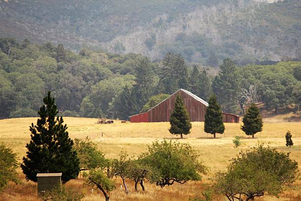 Julian Barn Beautiful barn in back country of Julian, California. julian california stock pictures, royalty-free photos & images