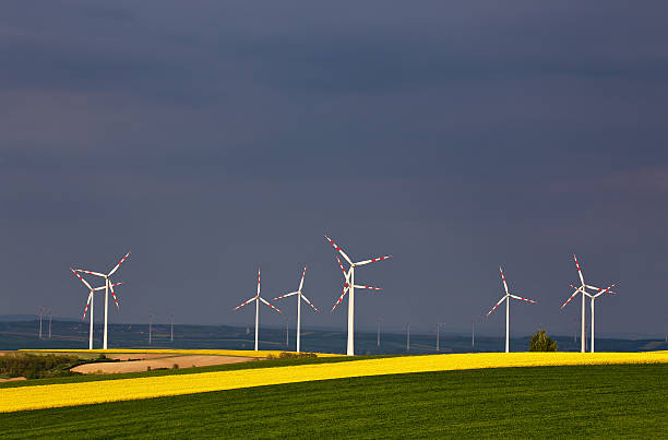 champs verts et jaunes avec éoliennes gén�érant de l’électricité - windmill cultivated land crop day photos et images de collection