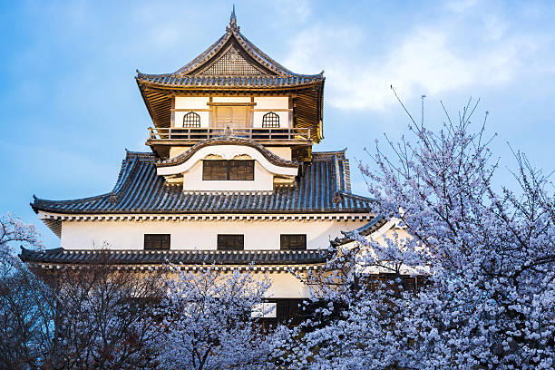 Aichi, Japan - April 2, 2016: Inuyama castle historic building landmark in spring with beautiful cherry blossom in Inuyama city japan.