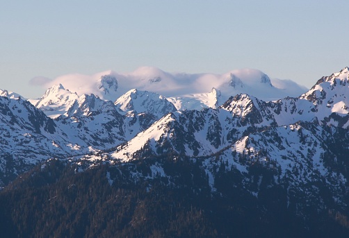 Several peaks of the Olympic mountains in the Olympic National Park of Washington blanketed in clouds