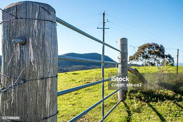 Livestock Fence Post And Paddock Stock Photo - Download Image Now - Farm, Gate, Livestock