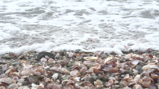 Waves Crash Over Shells on Beach