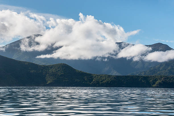 queen charlotte sound, nova zelândia - queen charlotte sound imagens e fotografias de stock