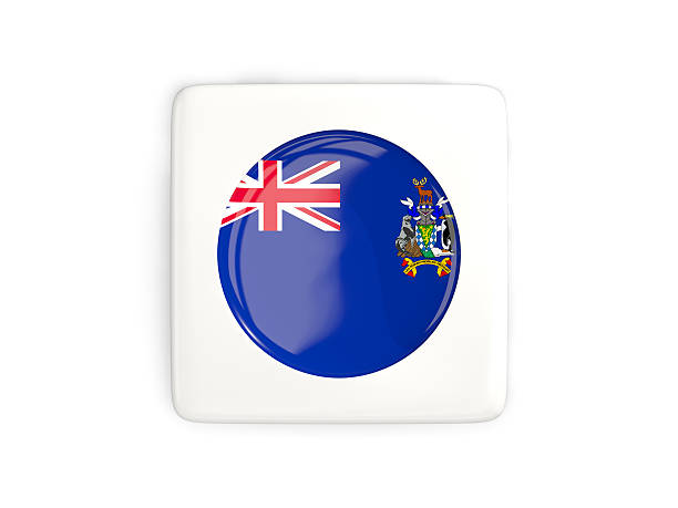 Square button with round flag of south georgia and the south sandwich islands isolated on white. 3D illustration