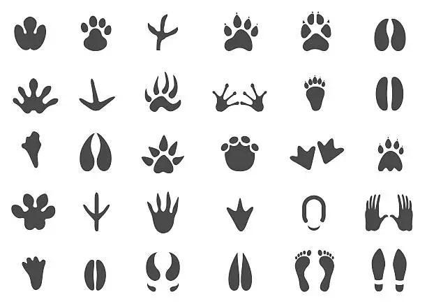 Vector illustration of Footprints icon set