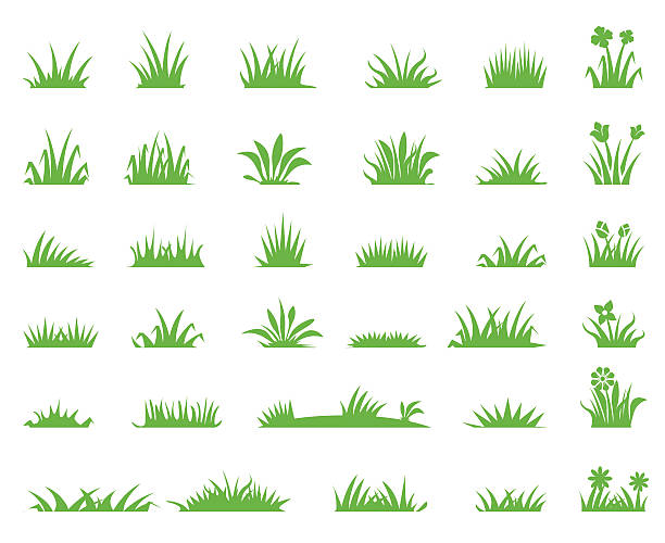잔디 아이콘 - vector grass stock illustrations