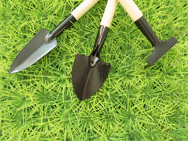 istock Background about spring and the garden, work in the garden 637102966