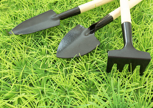 istock Funny background about work in the garden , growing vegetable ga 637103036