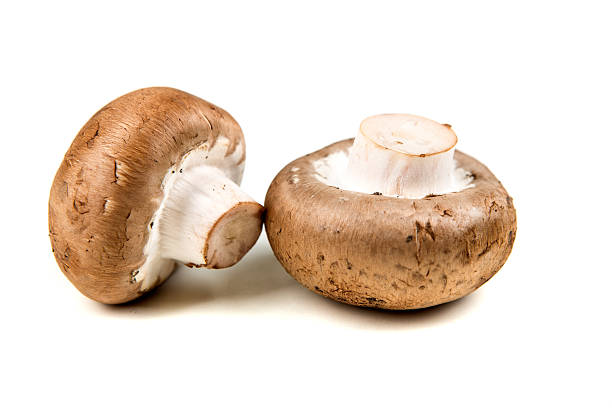 istock Fresh white mushrooms isolated on a white background 637103194
