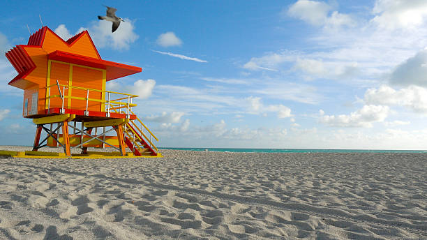 seagull flying lifeguard tower station miami beach florida - lifeguard orange nature beach stock-fotos und bilder