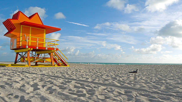 istock Miami Beach Florida Lifeguard Tower Seagull Sandy Tropical Scene 637104696