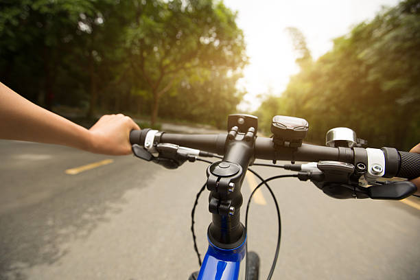istock riding mountain bike at forest trail 637105378