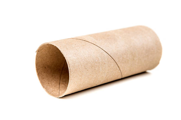 istock Single empty toilet paper roll isolated on a white background 637105878