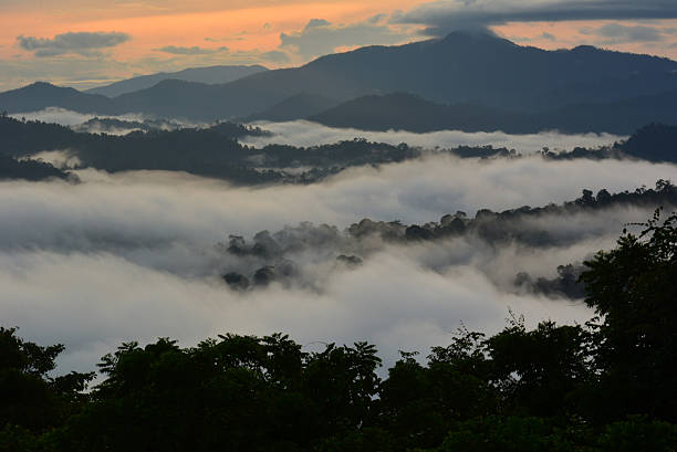 istock Sunrise scenery Danum Valley, Sabah Borneo 637106690