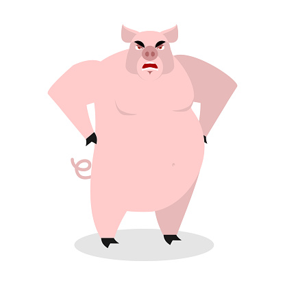 Free download of ugly pigs vector graphics and illustrations