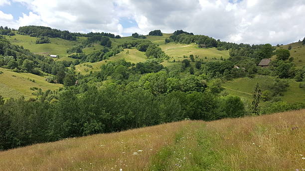 istock Summer day in the mountains 637110334