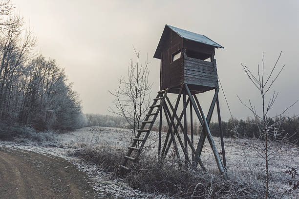 istock Hide by forest road. Winter rural landscape 637113552
