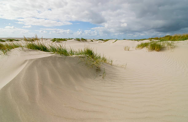 istock View from the dunes on the beach Rottumeroog island, Netherlands 637114818