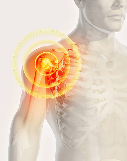 istock Shoulder painful skeleton x-ray, 3D illustration. 637115014