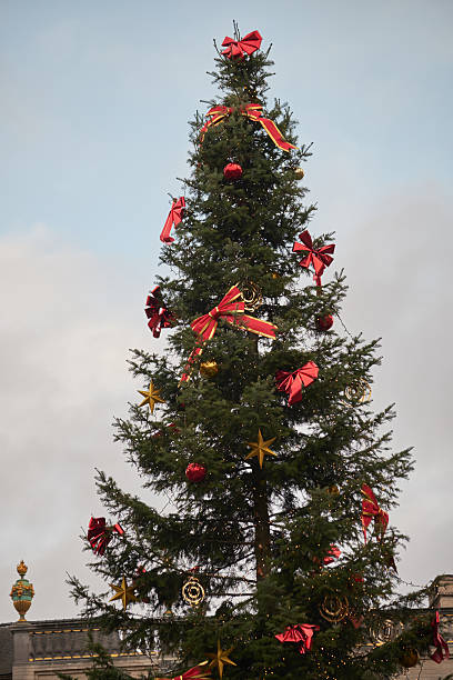 istock Outdoor Christmas tree with red ribbons 637115106