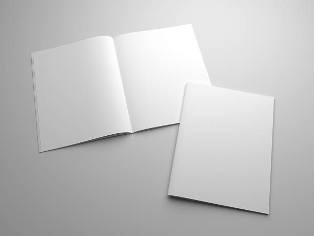 istock Blank 3D illustration magazines mockup 637118870