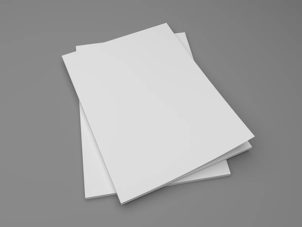 istock Mockup 3D illustration empty two magazines, books on gray. 637119072