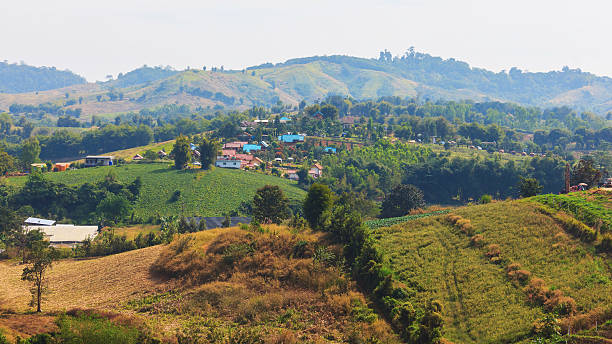 istock misty fog around mountain at khao kho 637120200